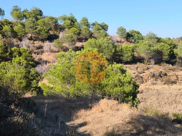 Terreno para Venda em Azinhal