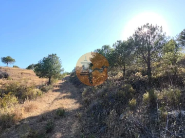 Terreno para Venda em Azinhal