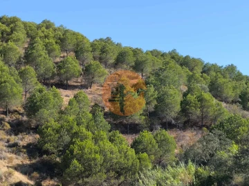 Terreno para Venda em Azinhal