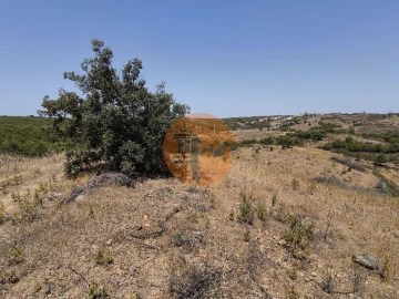 Terreno para Venda em Azinhal