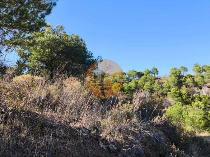 Terreno para Venda em Azinhal Foto 3