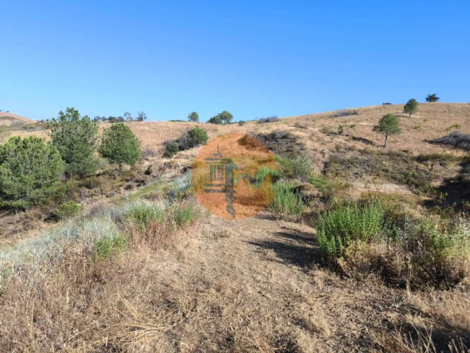 Terreno para Venda em Azinhal Foto 11