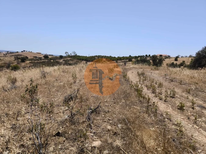 Terreno para Venda em Azinhal Foto 31