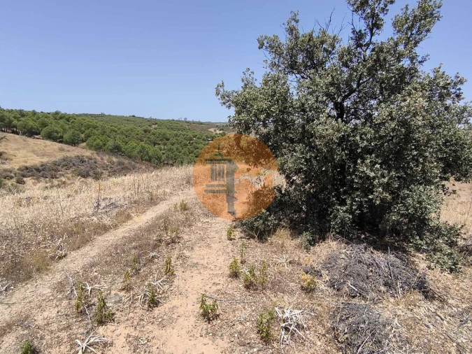 Terreno para Venda em Azinhal Foto 36