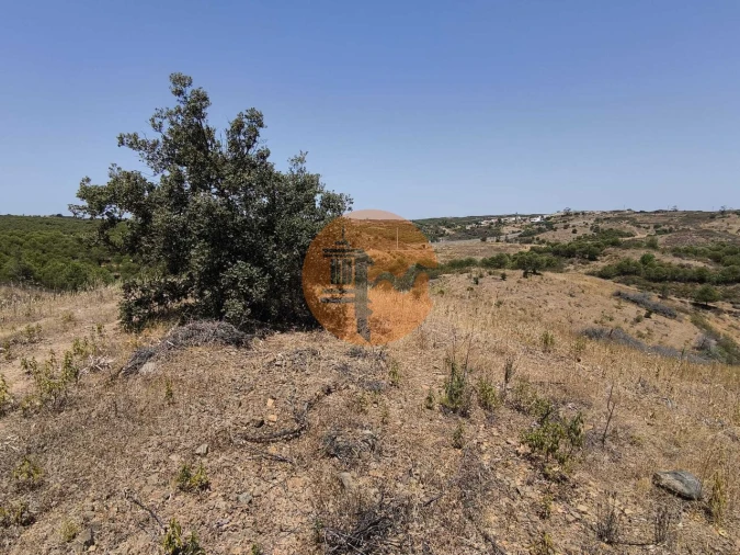 Terreno para Venda em Azinhal Foto 38