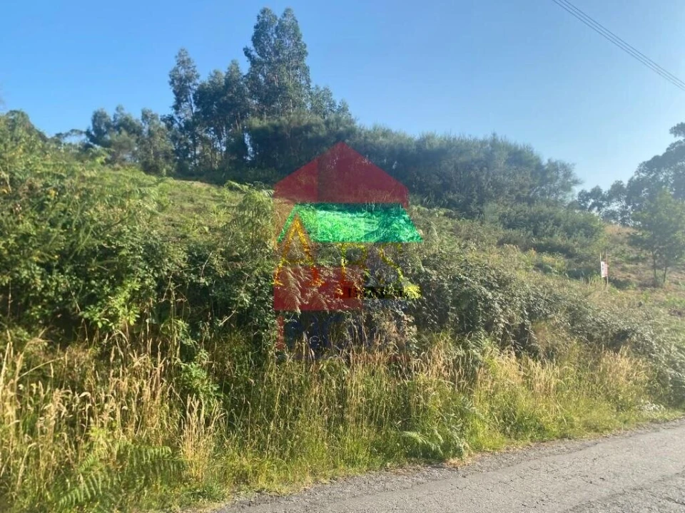 Terreno para Venda em Vade Foto 6