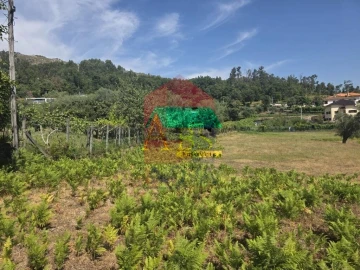 Terreno para Venda em Anais