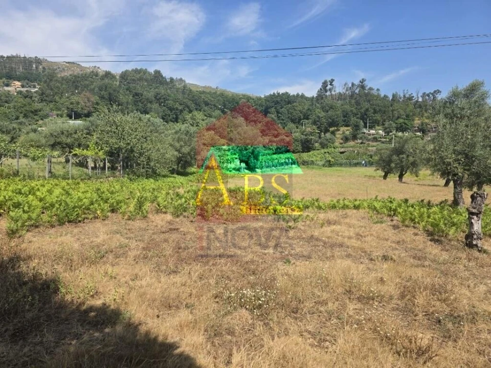 Terreno para Venda em Anais Foto 2