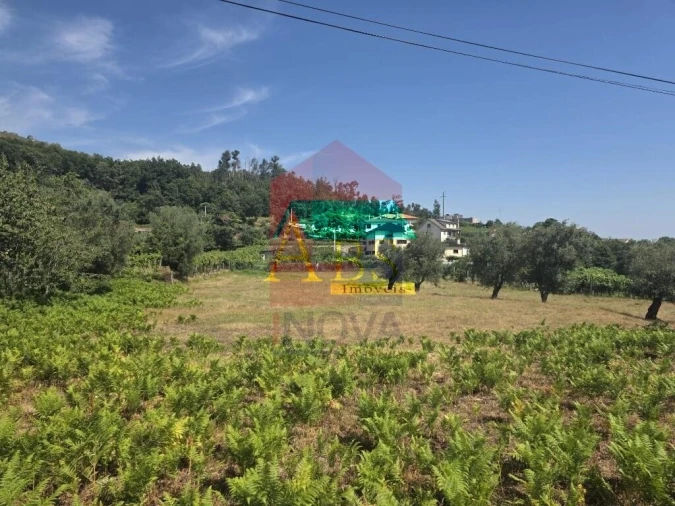 Terreno para Venda em Anais Foto 4
