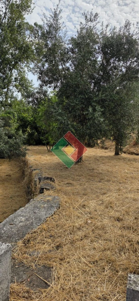 Quinta T2 para Venda em São Salvador da Aramenha