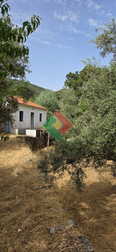 Quinta T2 para Venda em São Salvador da Aramenha