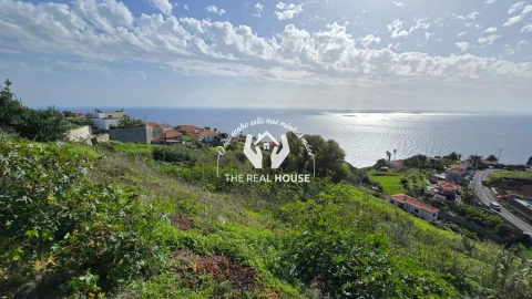Terreno para Venda em Estreito da Calheta
