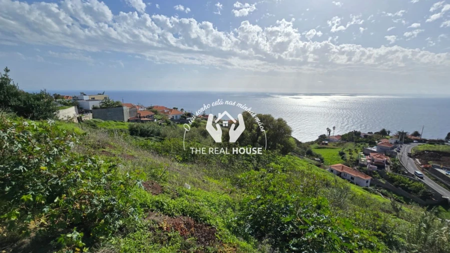 Terreno para Venda em Estreito da Calheta Foto 2