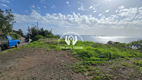 Terreno para Venda em Estreito da Calheta