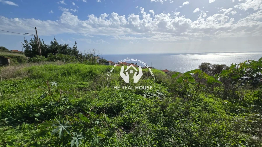 Terreno para Venda em Estreito da Calheta Foto 6