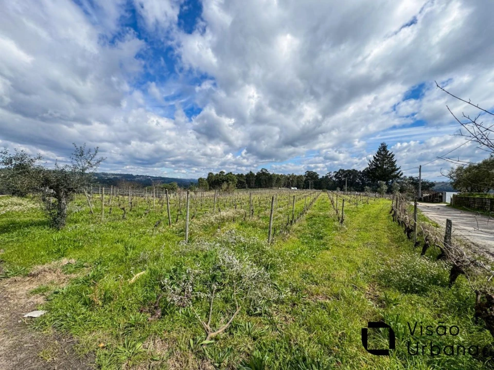 Terreno para Venda em Silgueiros Foto 26