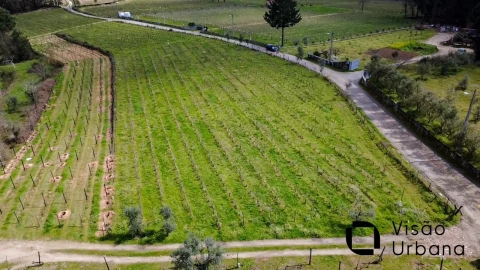 Terreno para Venda em Silgueiros
