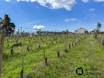 Terreno para Venda em Silgueiros