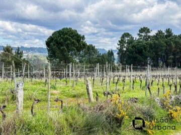 Terreno para Venda em Silgueiros