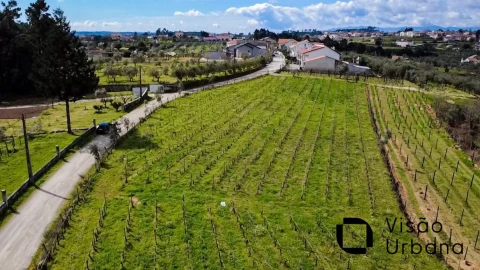 Terreno para Venda em Silgueiros