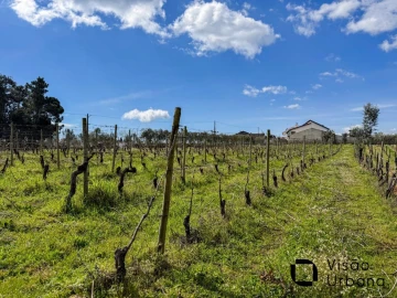 Terreno para Venda em Silgueiros
