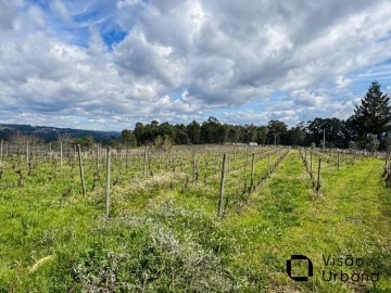 Terreno para Venda em Silgueiros