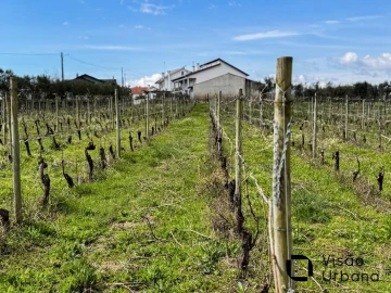Terreno para Venda em Silgueiros