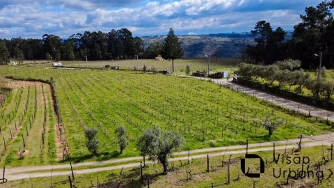 Terreno para Venda em Silgueiros