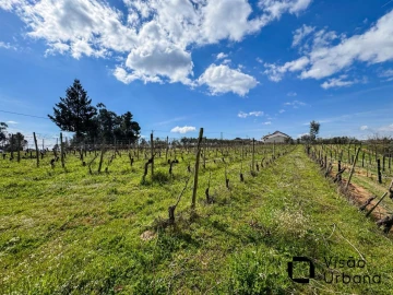 Terreno para Venda em Silgueiros