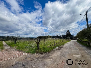 Terreno para Venda em Silgueiros