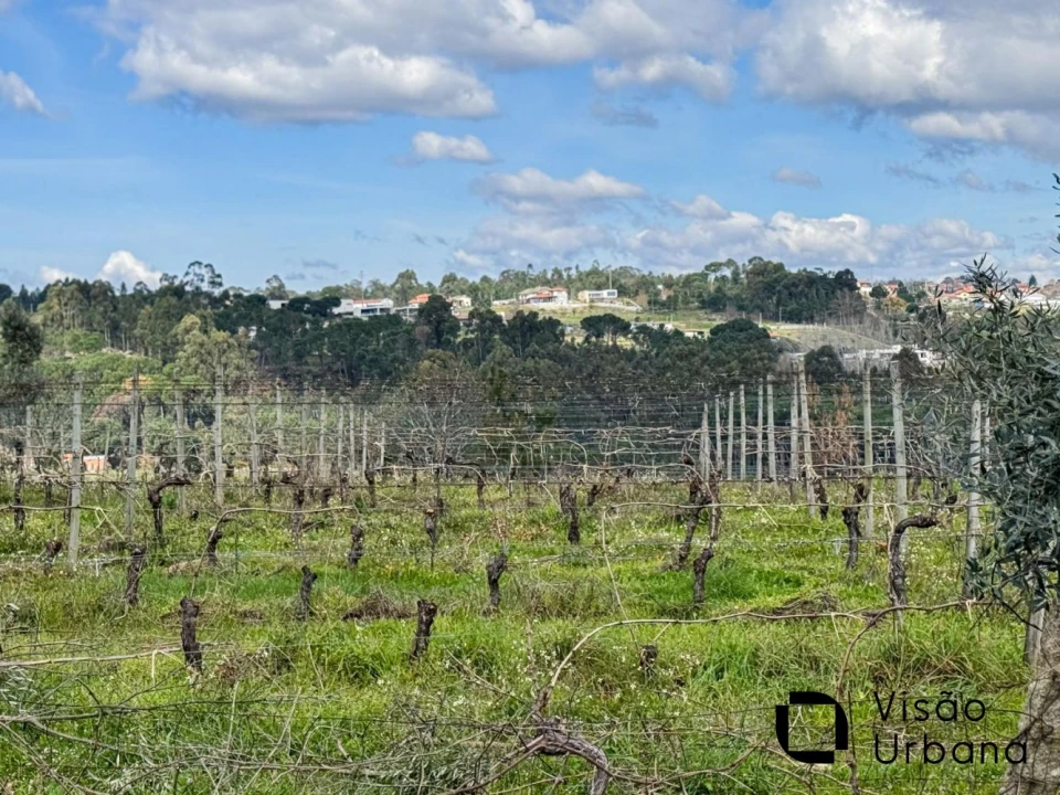 Terreno para Venda em Silgueiros Foto 32