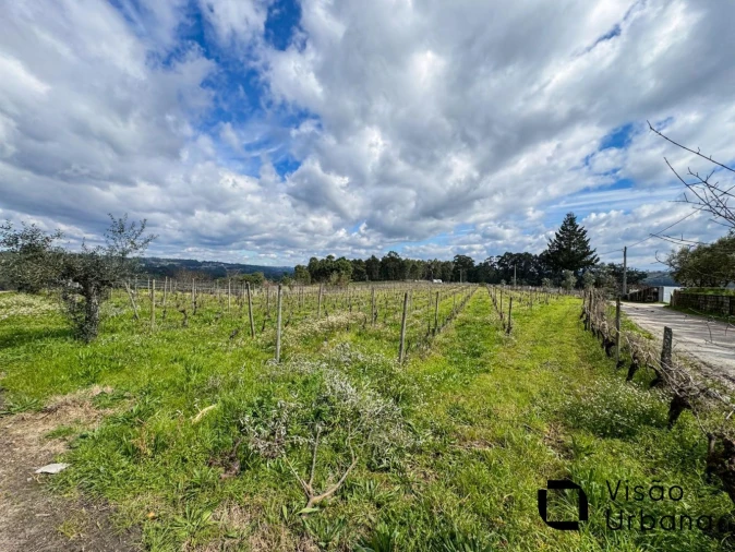 Terreno para Venda em Silgueiros Foto 26
