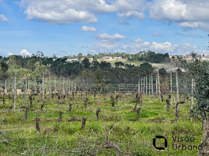 Terreno para Venda em Silgueiros Foto 32