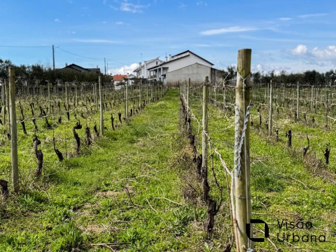 Terreno para Venda em Silgueiros Foto 14
