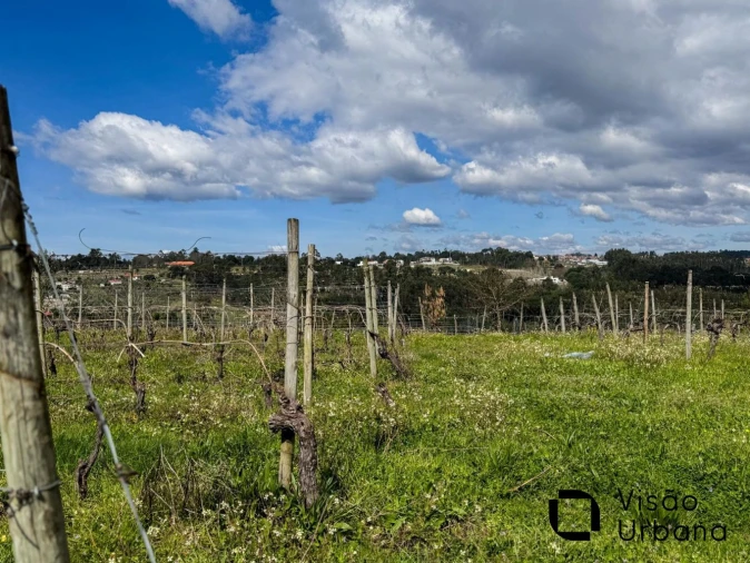 Terreno para Venda em Silgueiros Foto 22