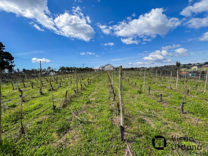 Terreno para Venda em Silgueiros Foto 15