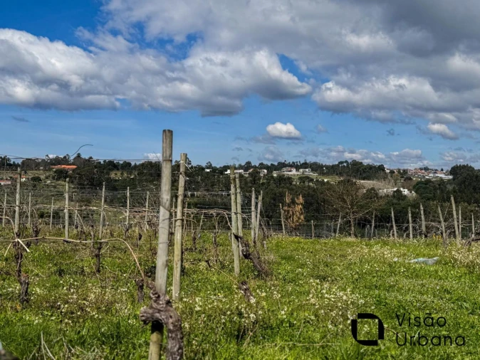 Terreno para Venda em Silgueiros Foto 23
