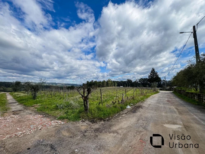 Terreno para Venda em Silgueiros Foto 31