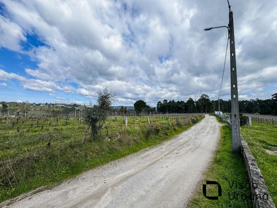 Terreno para Venda em Silgueiros Foto 12