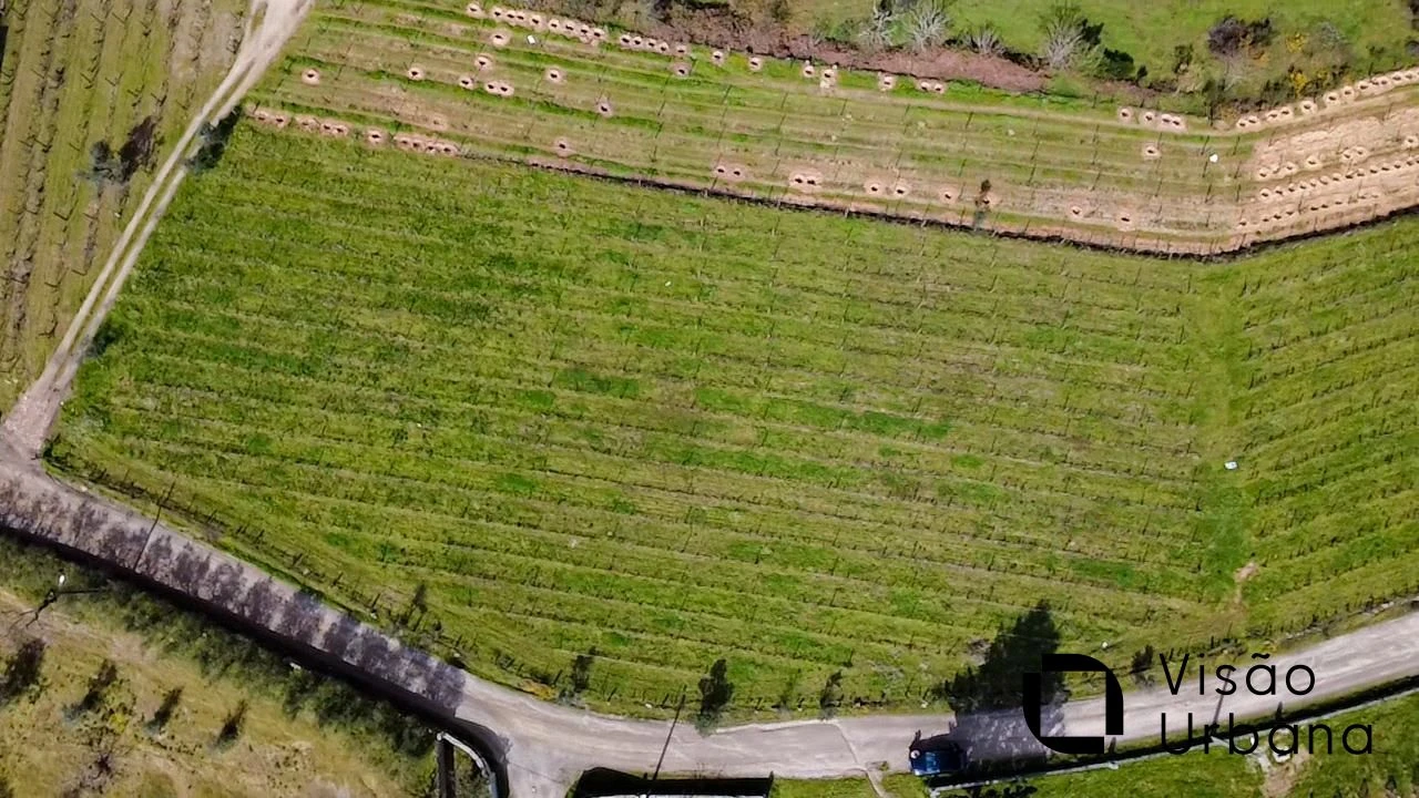 Terreno para Venda em Silgueiros Foto 6