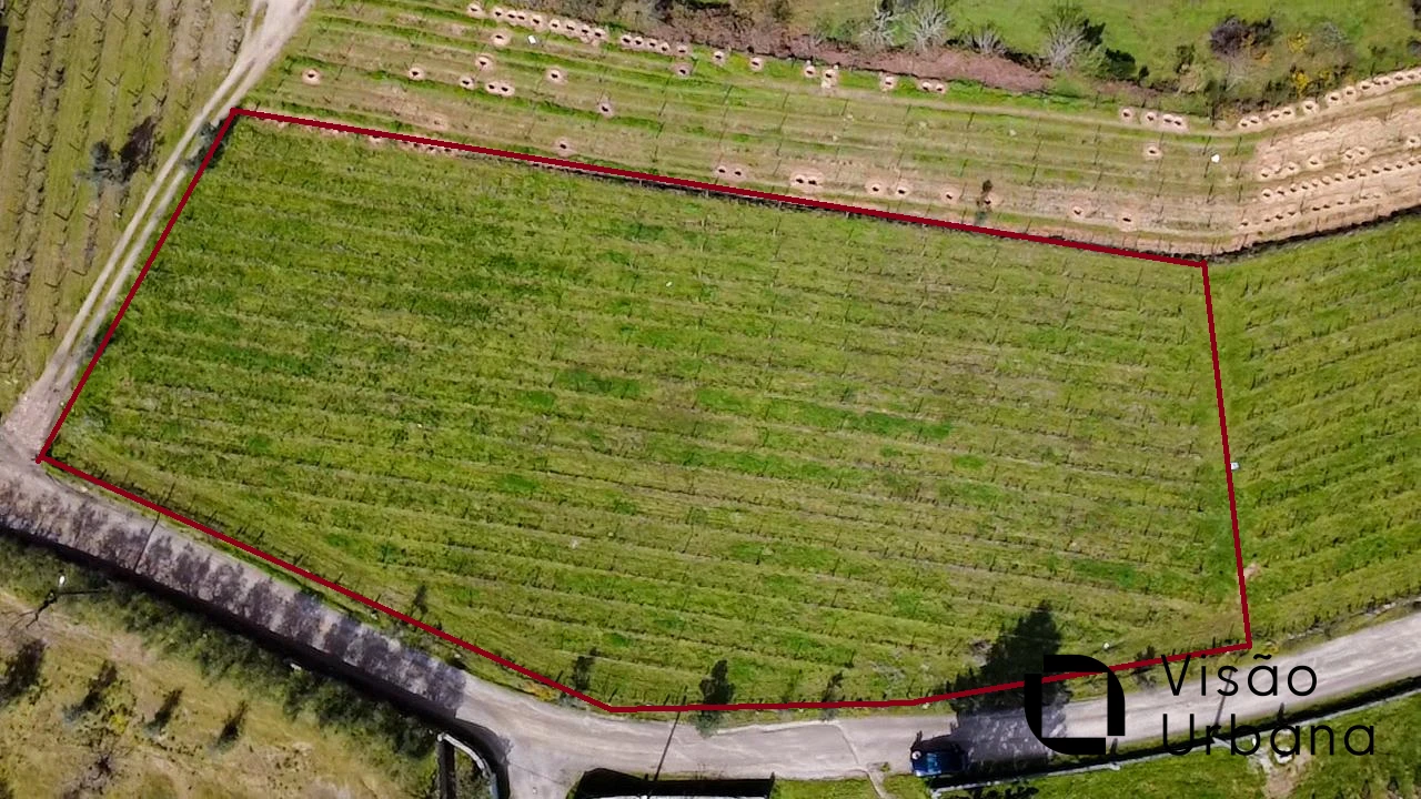 Terreno para Venda em Silgueiros Foto 8
