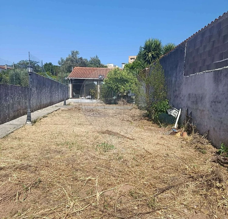 Terreno para Venda em Santo Antonio dos Olivais Foto 2