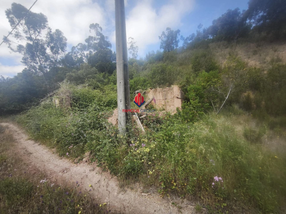Terreno Agricola ou Rústico para Venda em Saboia Foto 10