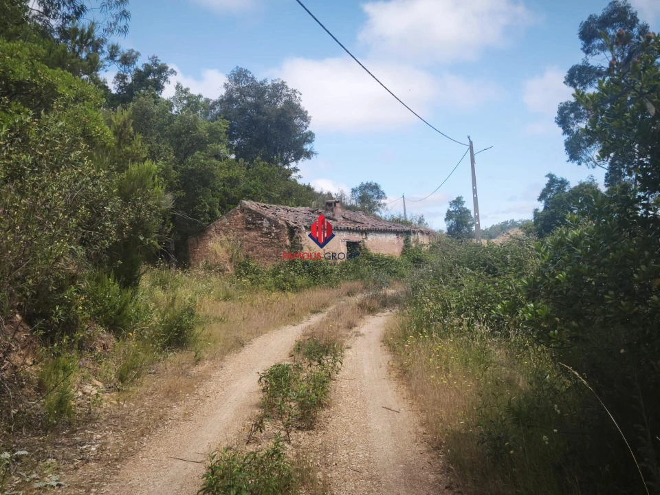 Terreno Agricola ou Rústico para Venda em Saboia Foto 3