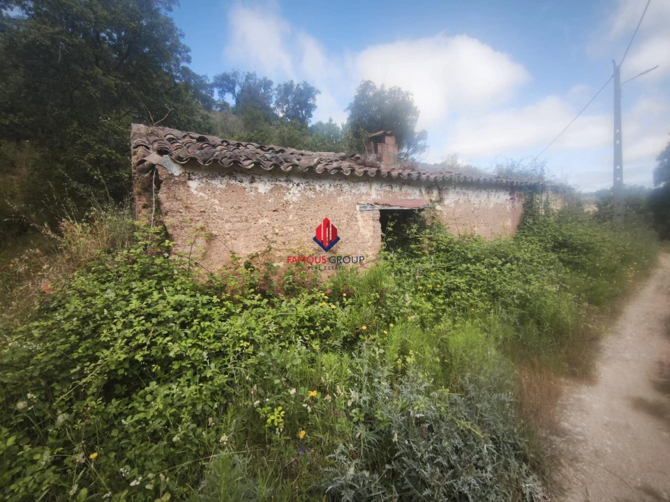 Terreno Agricola ou Rústico para Venda em Saboia Foto 9