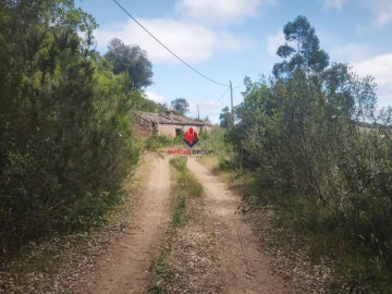 Terreno Agricola ou Rústico para Venda em Saboia