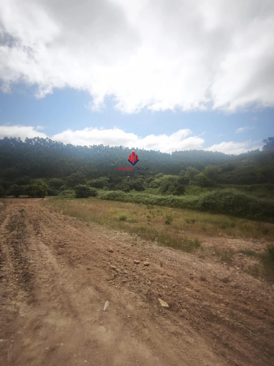 Terreno Agricola ou Rústico para Venda em Saboia Foto 14