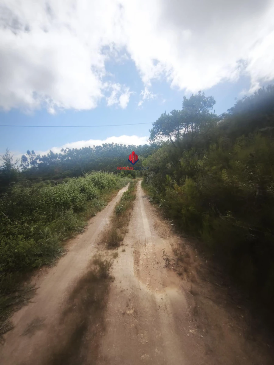 Terreno Agricola ou Rústico para Venda em Saboia Foto 15