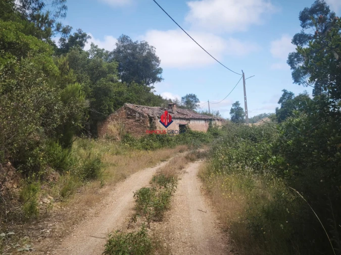 Terreno Agricola ou Rústico para Venda em Saboia Foto 3