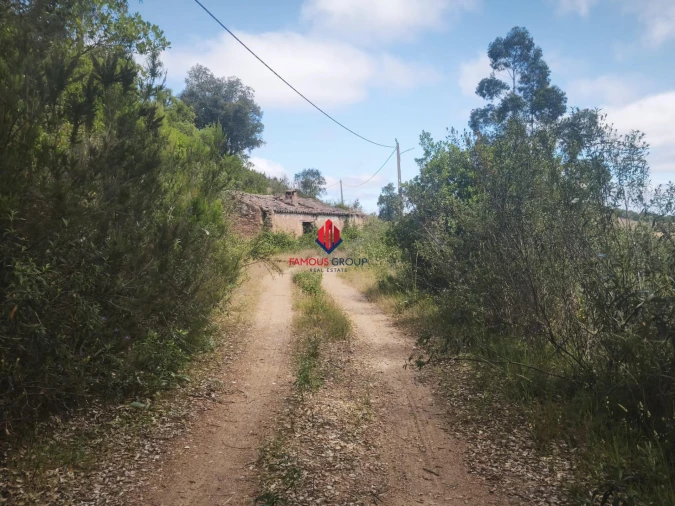 Terreno Agricola ou Rústico para Venda em Saboia Foto 4